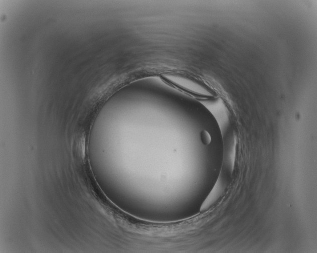 X0000083630021200702201354