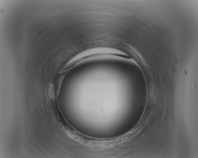X0000083630025200702201354