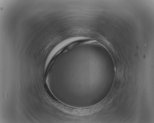X0000083630027200702201354