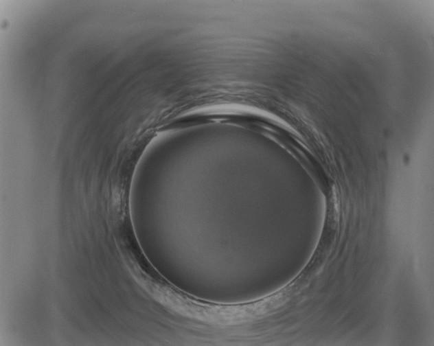 X0000083630031200702201354