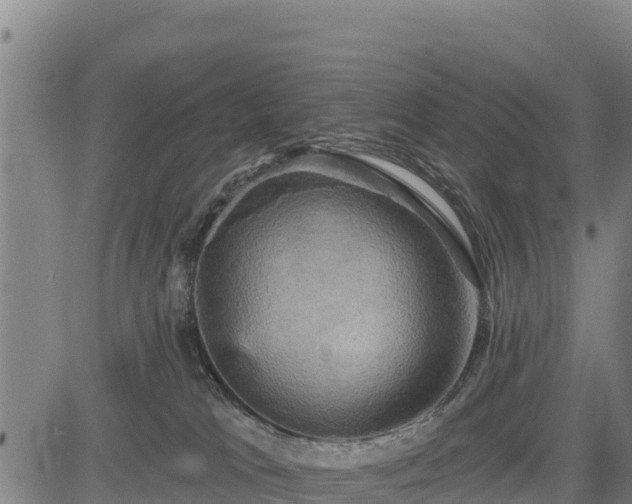 X0000083630037200702201353