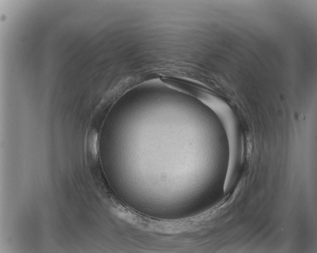 X0000083630041200702201353