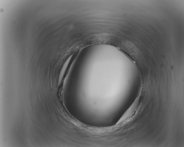 X0000083630045200702201353