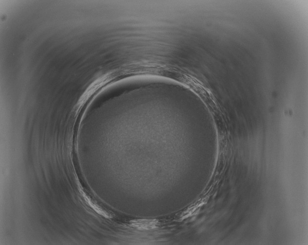 X0000083630051200702201352