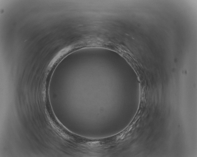 X0000083630054200702201353