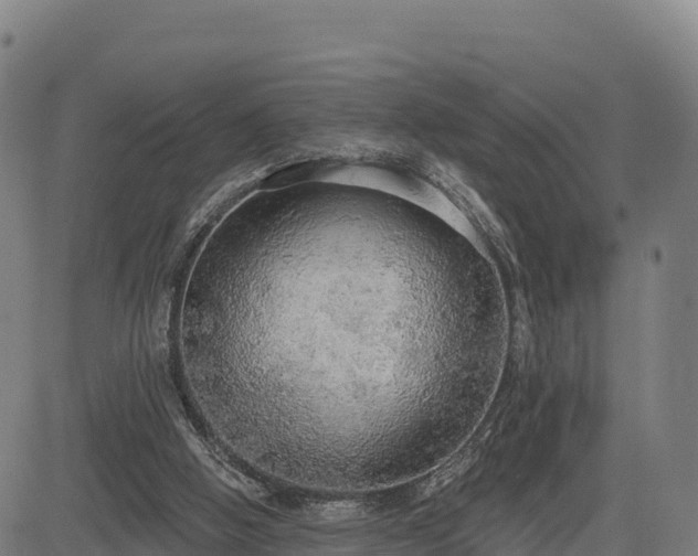 X0000083630058200702201353