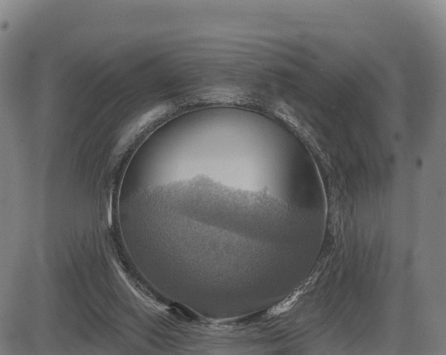X0000083630062200702201353