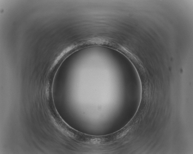 X0000083630064200702201353