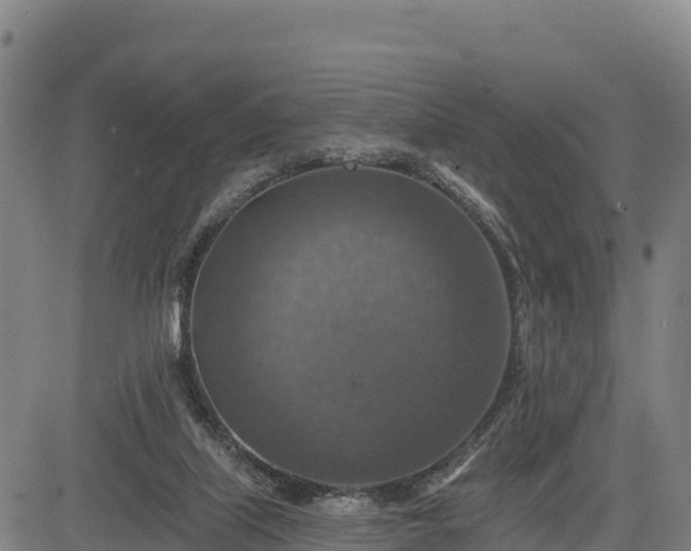 X0000083630067200702201353