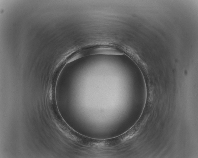 X0000083630068200702201353