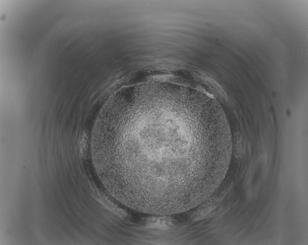 X0000083630077200702201353
