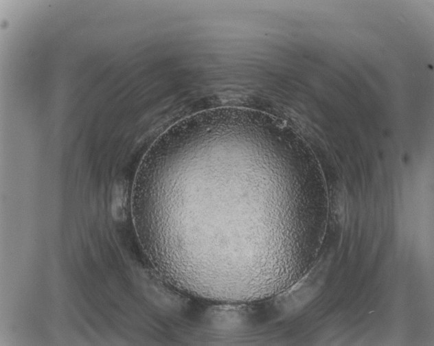 X0000083630082200702201353
