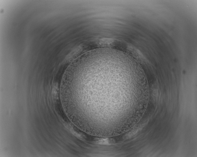X0000083630083200702201353