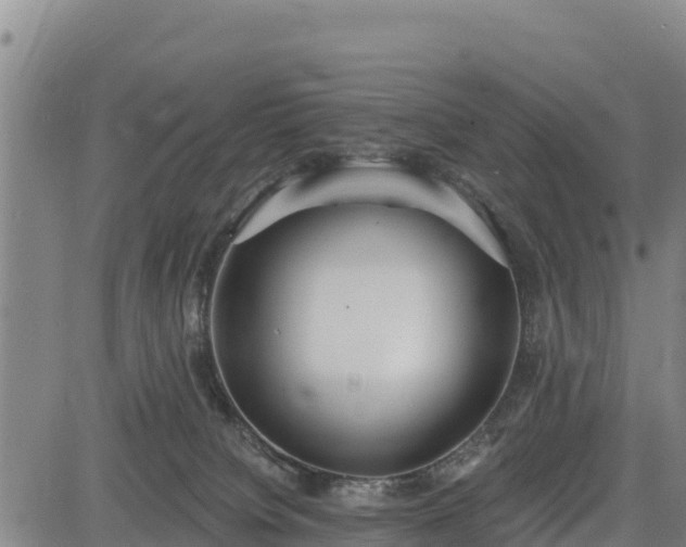 X0000083630084200702201353
