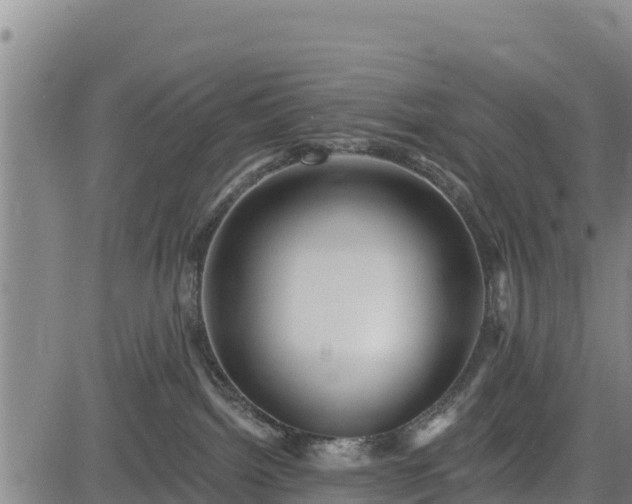 X0000083630092200702201353