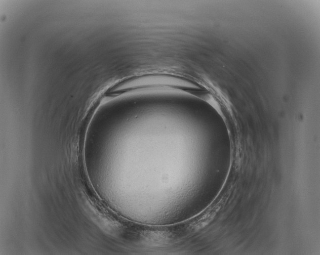 X0000083630107200702201352