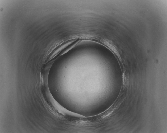 X0000083630109200702201352