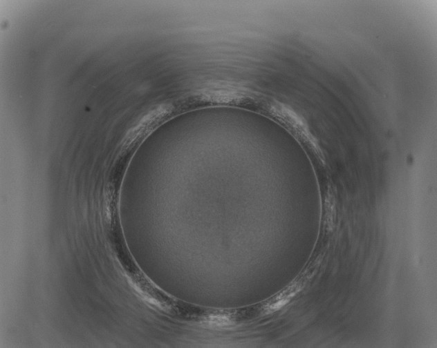 X0000083630114200702201352