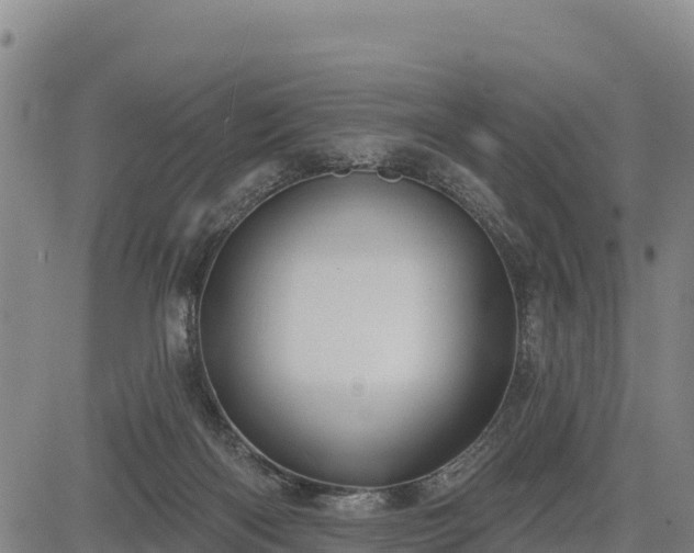 X0000083630122200702201352