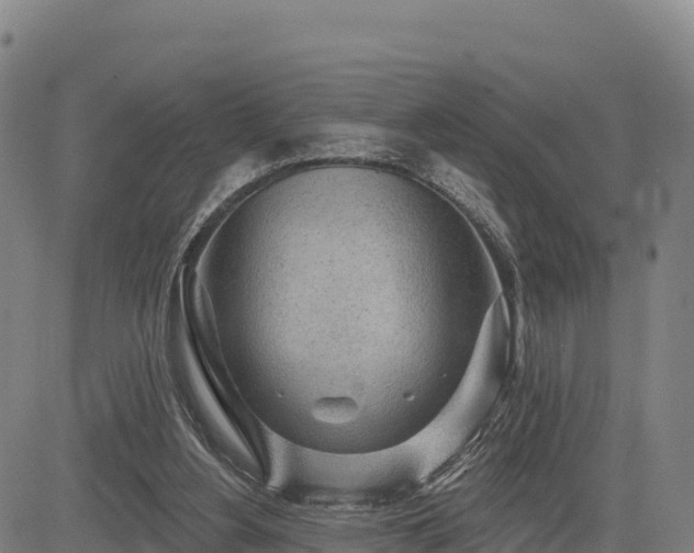 X0000083630156200702201351