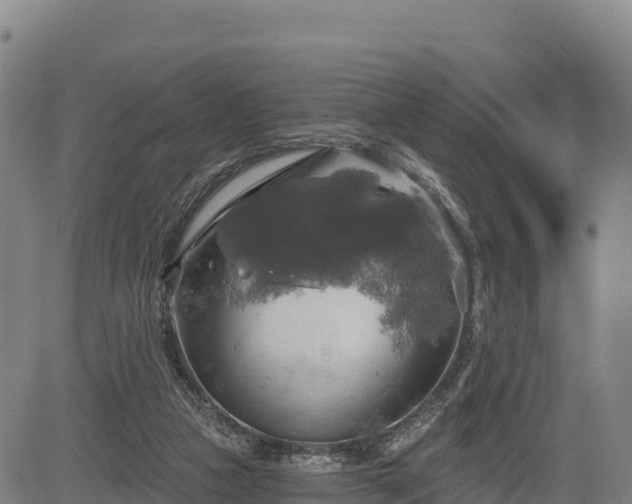 X0000083630161200702201351