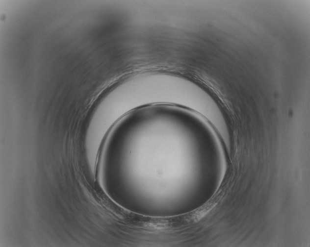 X0000083630164200702201351