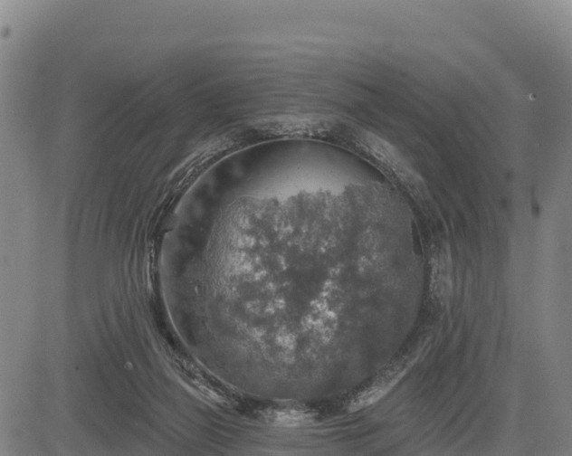 X0000083630165200702201351