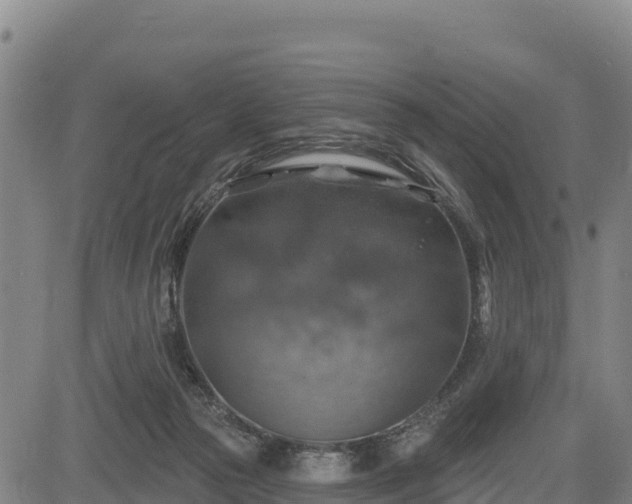 X0000083630169200702201351