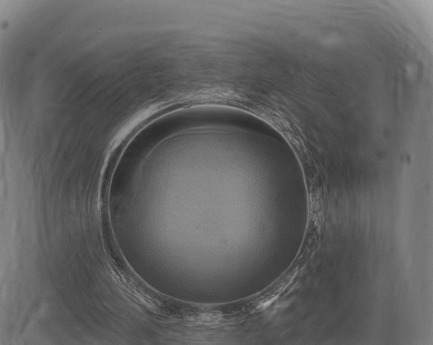 X0000083630196200702201351