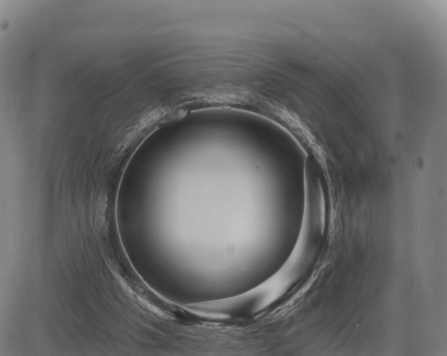 X0000083630201200702201351