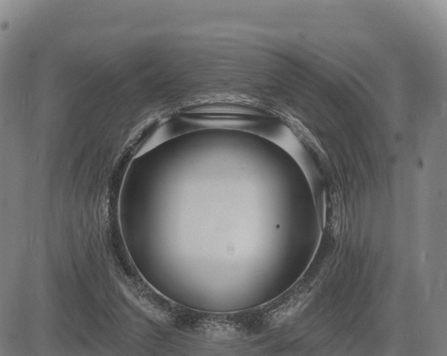 X0000083630207200702201351