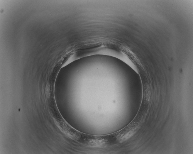 X0000083630213200702201350