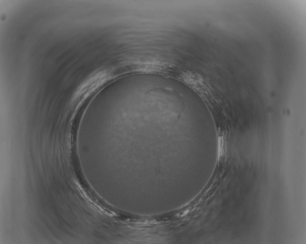 X0000083630243200702201349