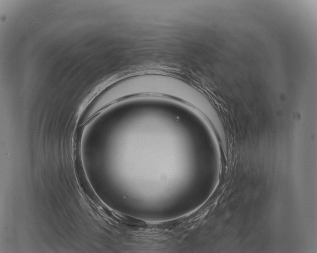 X0000083630244200702201349