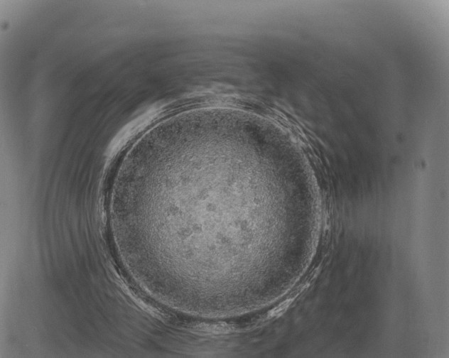X0000083630245200702201349