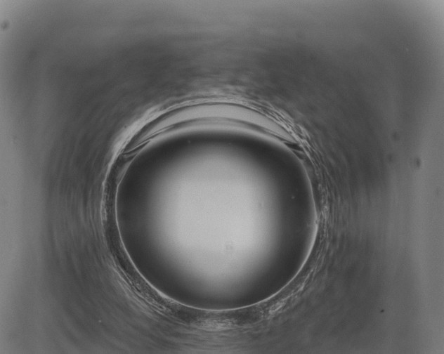 X0000083630248200702201349
