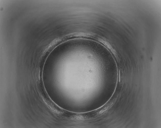 X0000083630253200702201349