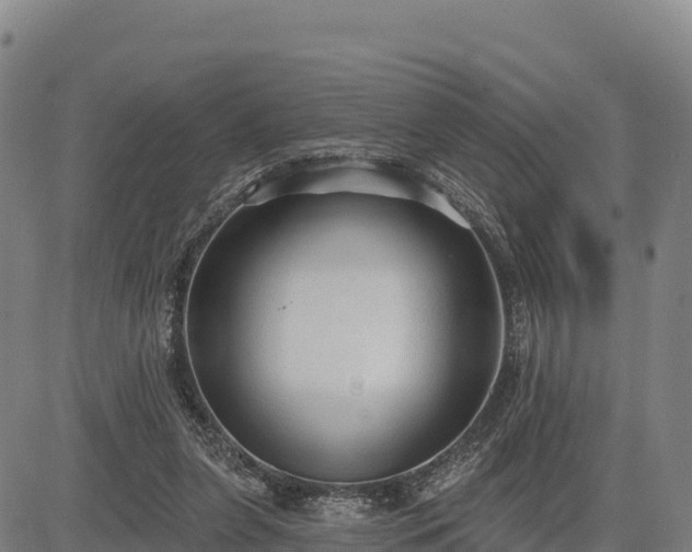 X0000083630255200702201349
