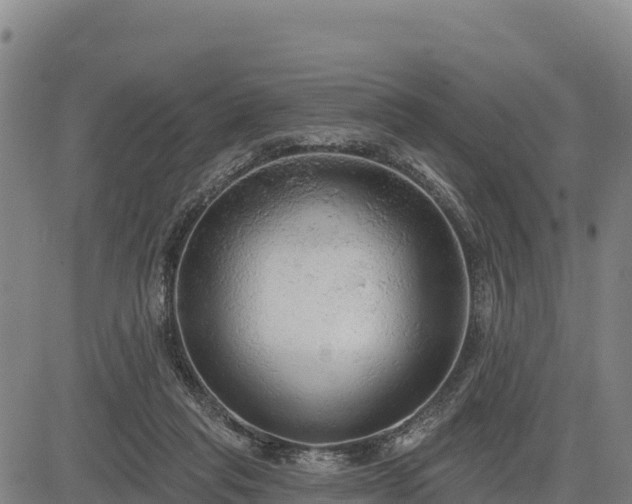 X0000083630261200702201350