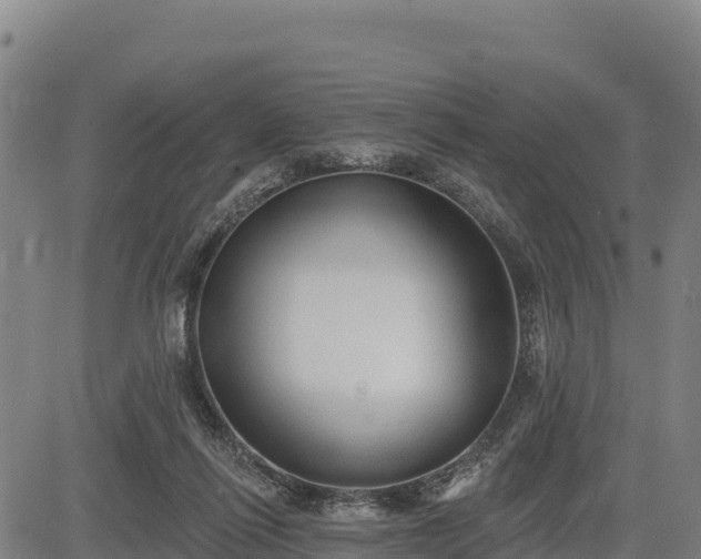 X0000083630262200702201350