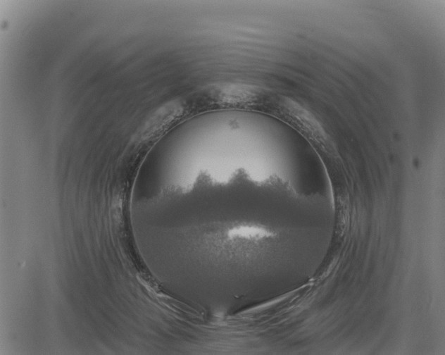 X0000083630269200702201350
