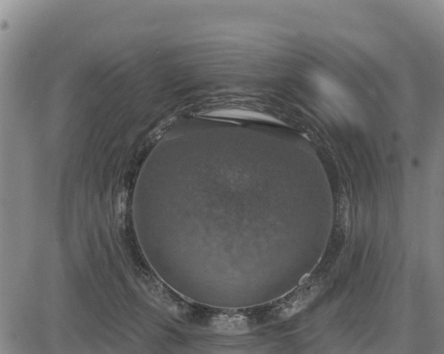 X0000083630271200702201350