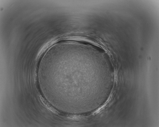 X0000083630293200702201349