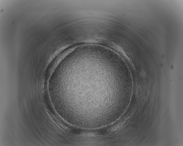 X0000083630299200702201349