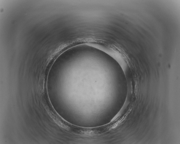 X0000083630301200702201349