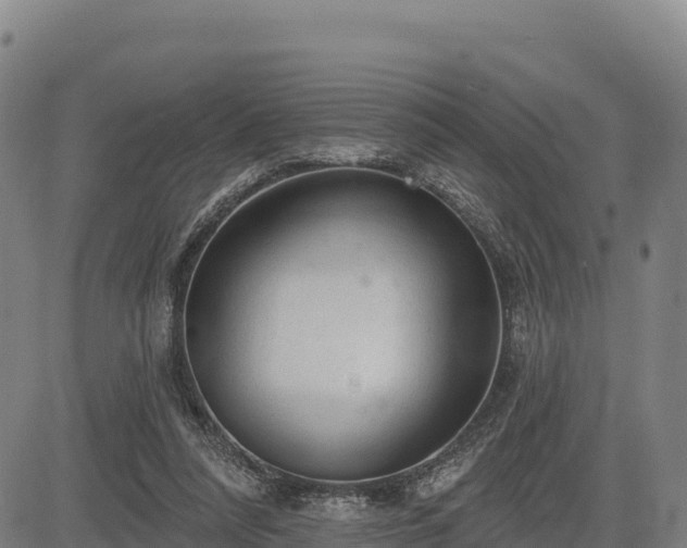 X0000083630304200702201349