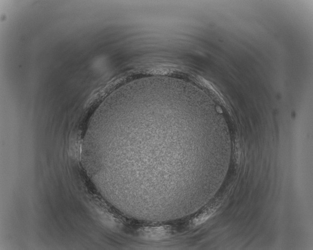X0000083630307200702201349