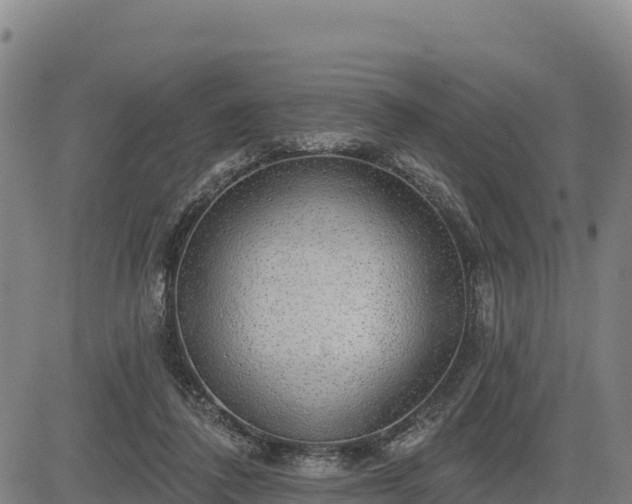 X0000083630308200702201349