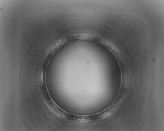 X0000083630310200702201349