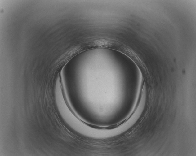 X0000083630313200702201349